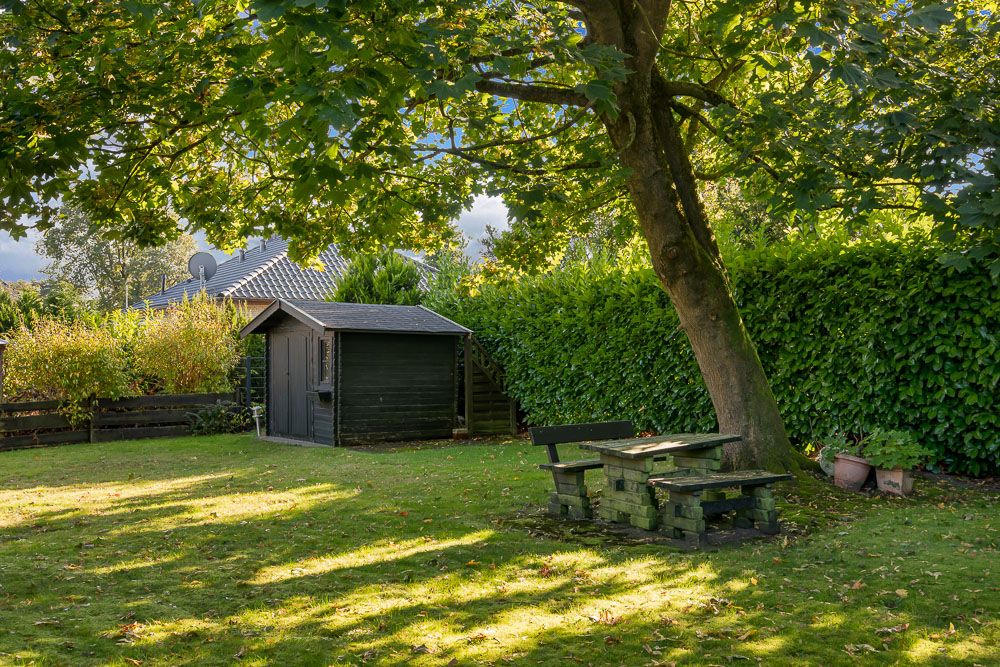Garten mit großem Baum, Holzhütte, Sitzbank und Tisch aus Holz, umgeben von Hecke.
