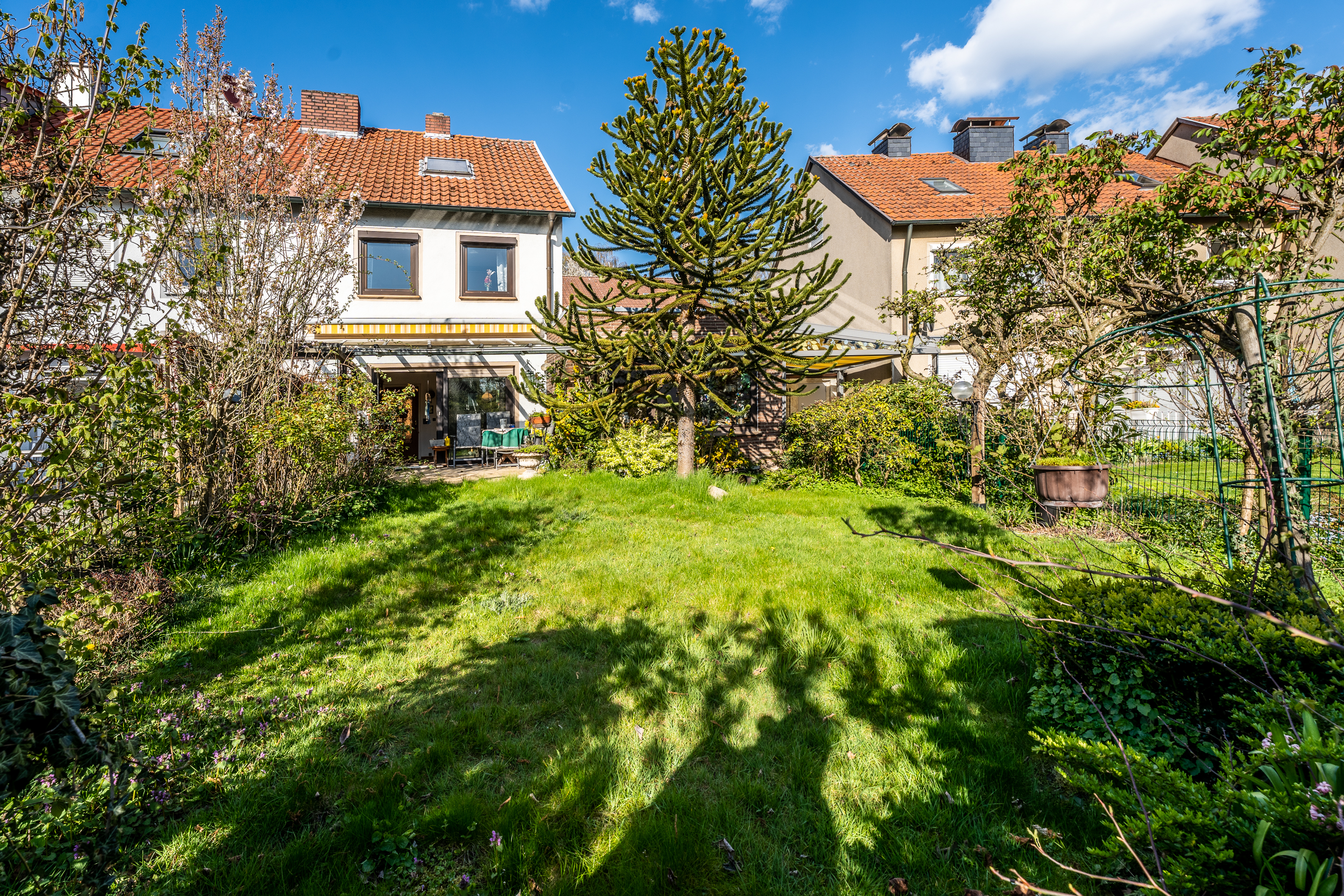 Garten mit grünem Rasen, großem Nadelbaum und Blick auf ein Reihenhaus.