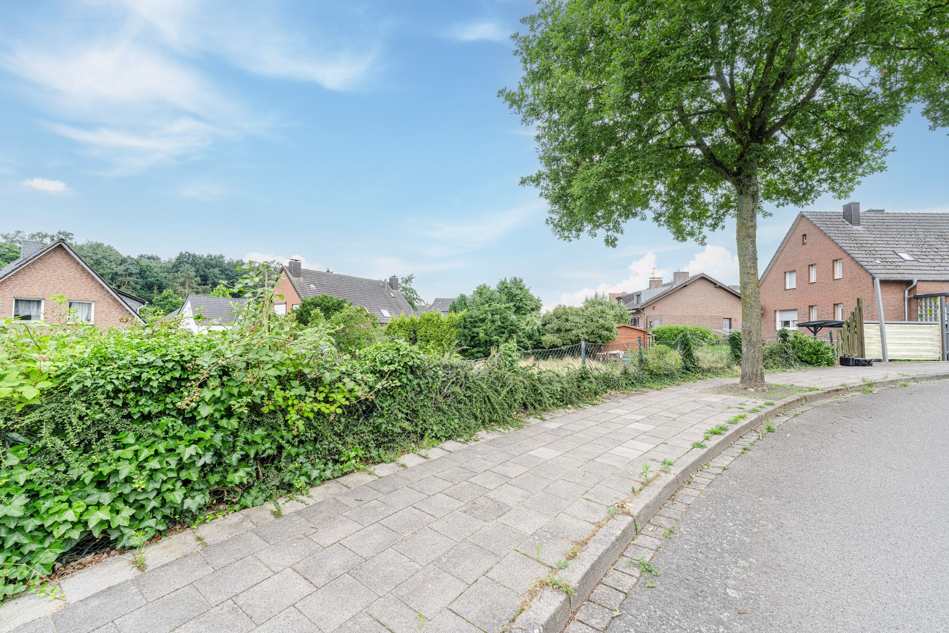 Gepflasterter Gehweg mit Baum, Hecke und Wohnhäusern im Hintergrund bei klarem Himmel.