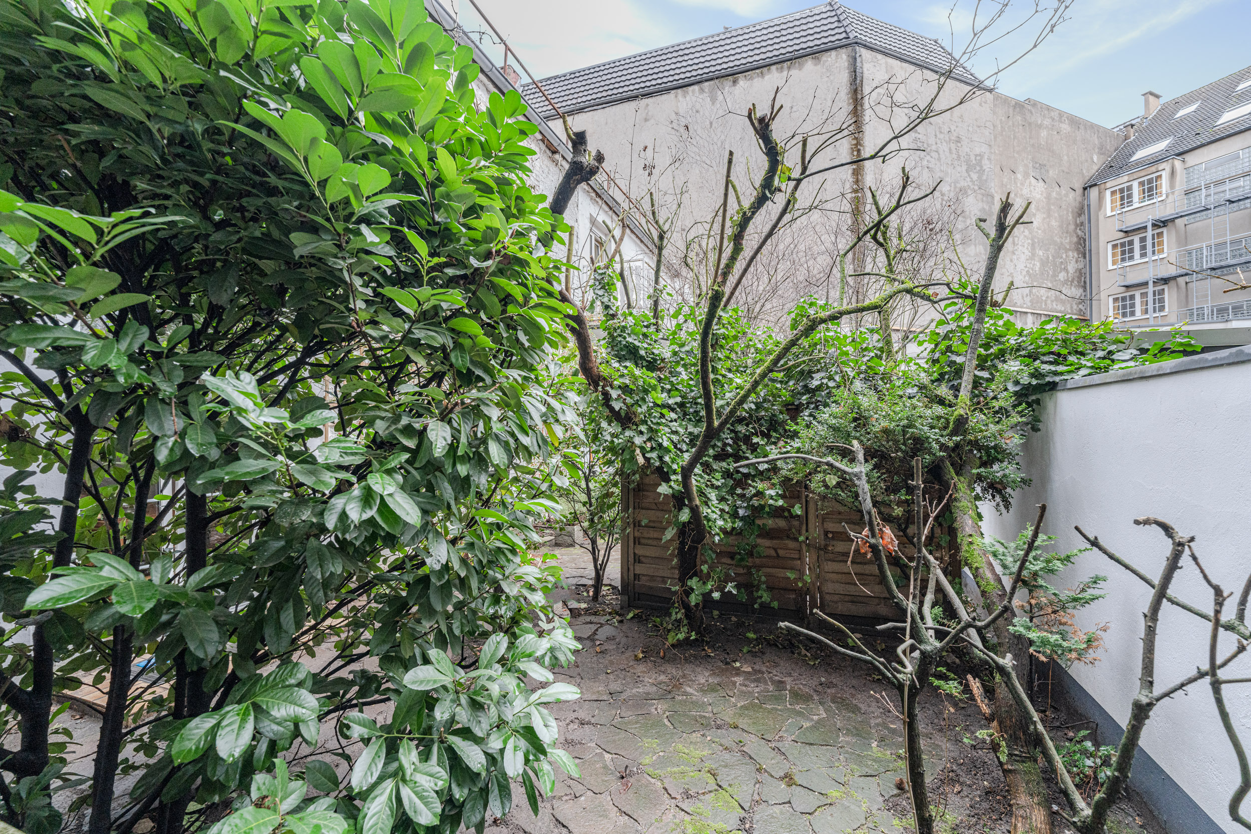 Kleiner Innenhof mit Kopfsteinpflaster, großen grünen Büschen und einer Holzwand im Hintergrund.