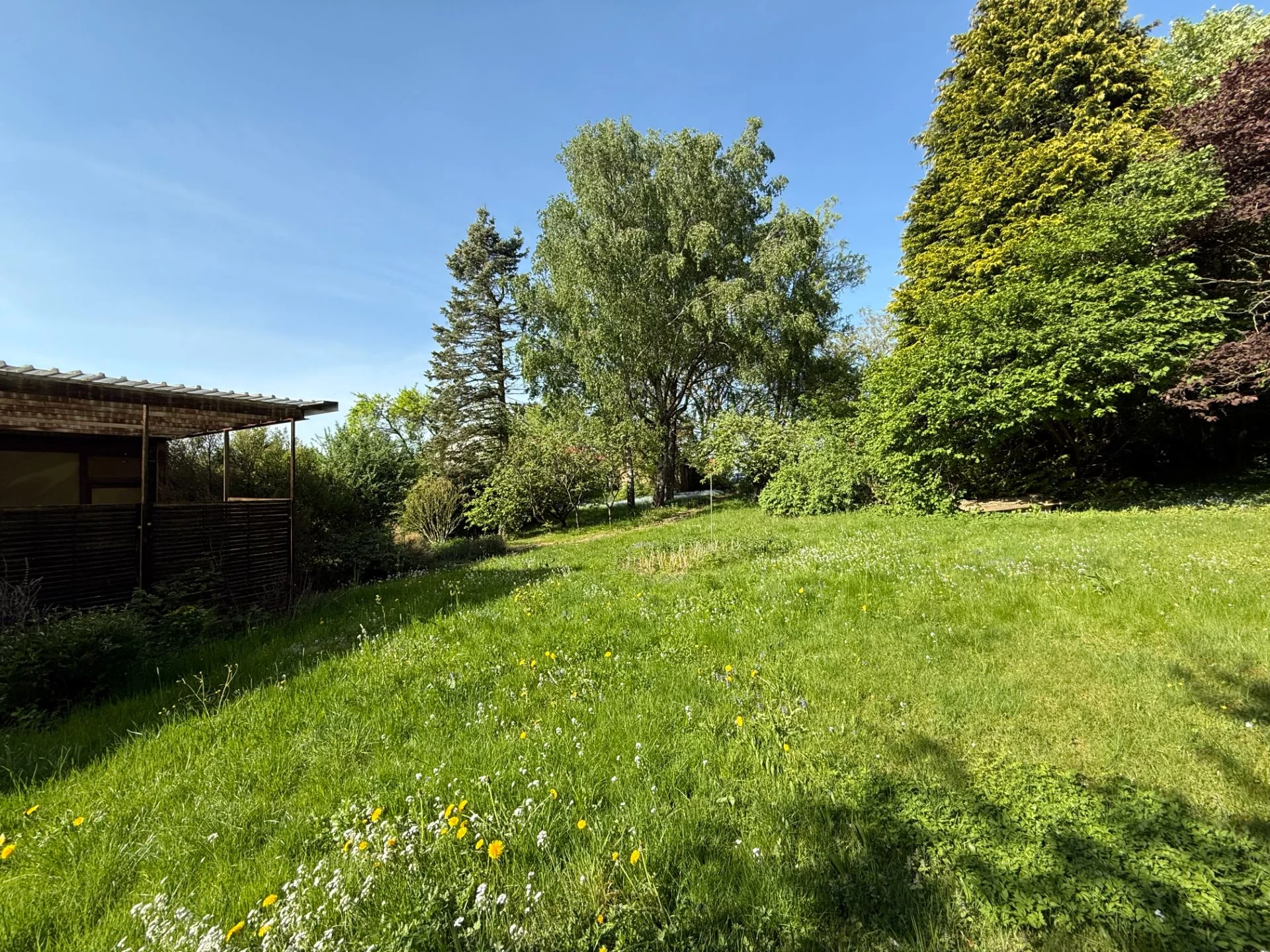 Grüner Garten mit Wiese, Blumen und Bäumen, links ist eine überdachte Terrasse zu sehen.