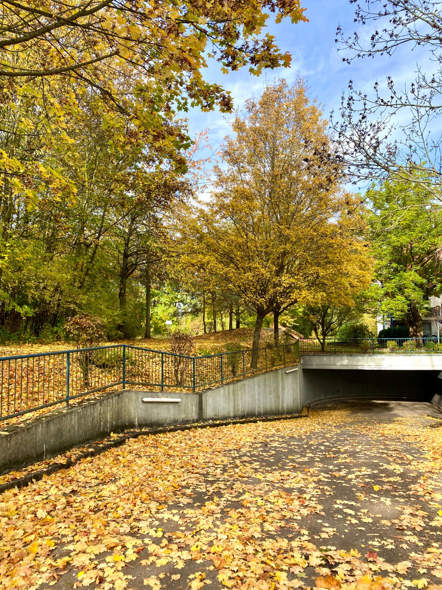 Weg mit herbstlichen Blättern bedeckt, Bäume mit gelbem Laub, Geländer und Unterführung sichtbar.