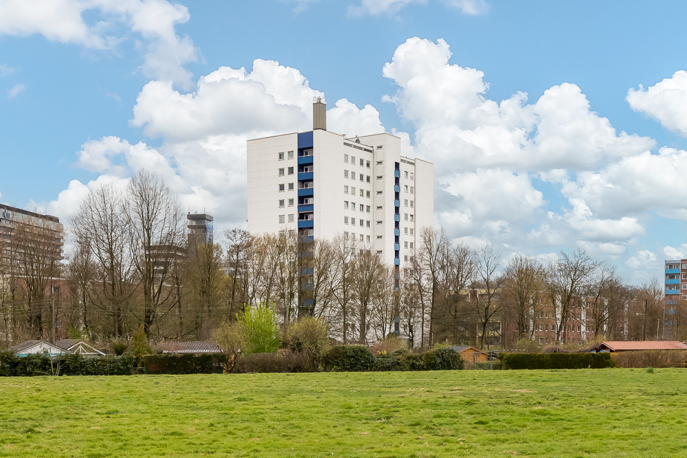 Weißes Wohnhochhaus mit blauen Balkonen, davor Bäume und eine Wiese.