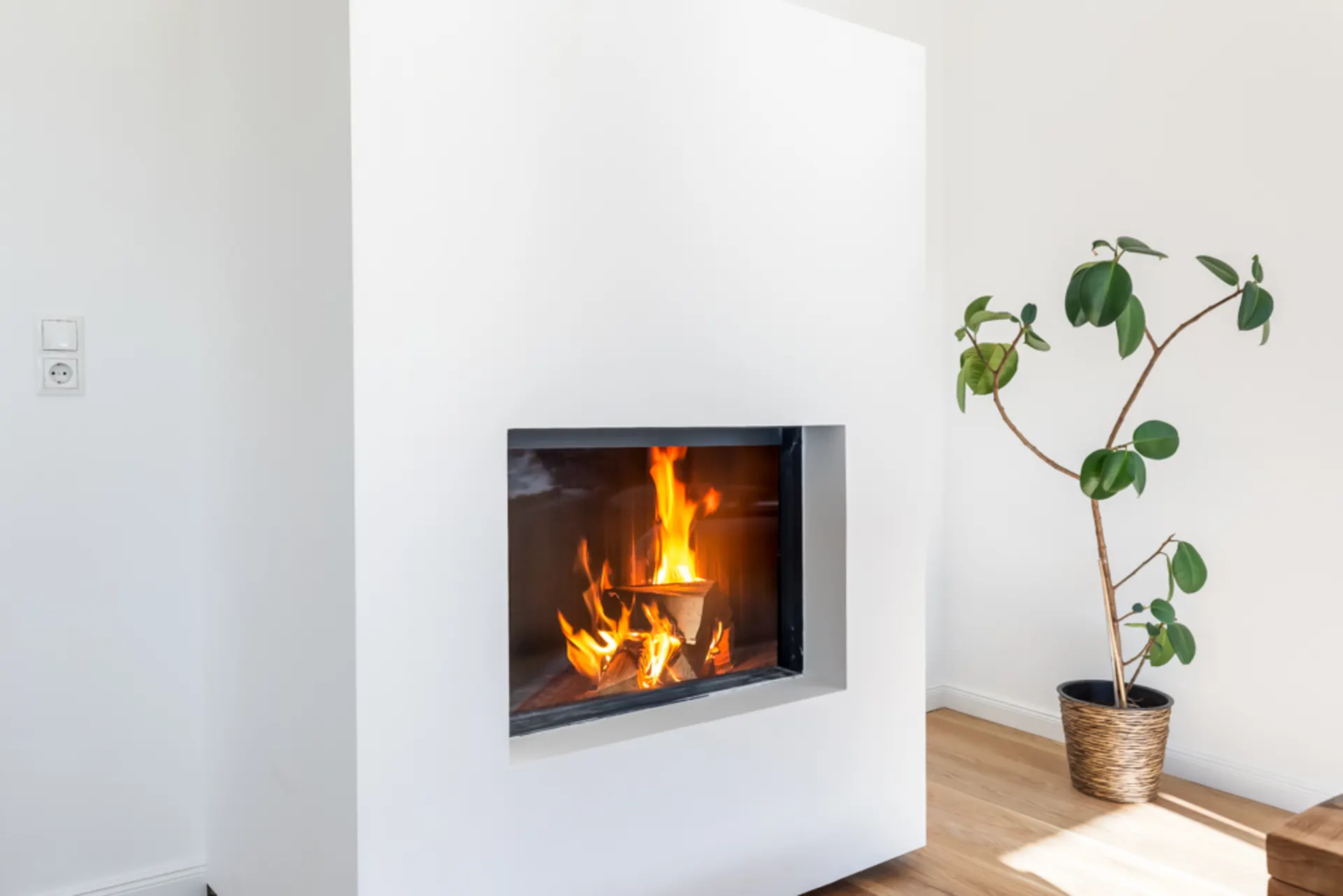 Moderner Kamin mit Feuer in weißem Raum, daneben eine Pflanze im Topf.