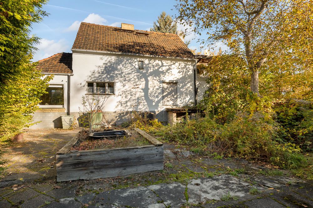 Hinteransicht eines Hauses mit altem Pflanzenbeet und überwachsenem Garten.