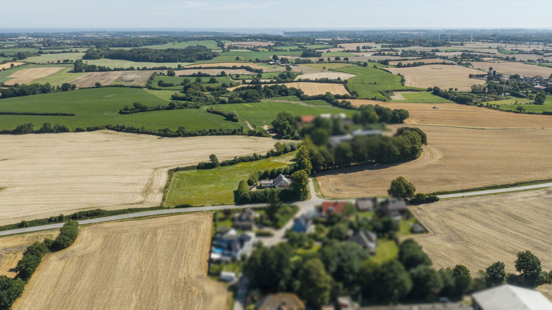 Luftaufnahme von Feldern mit vereinzelten Häusern und Bäumen auf dem Land.