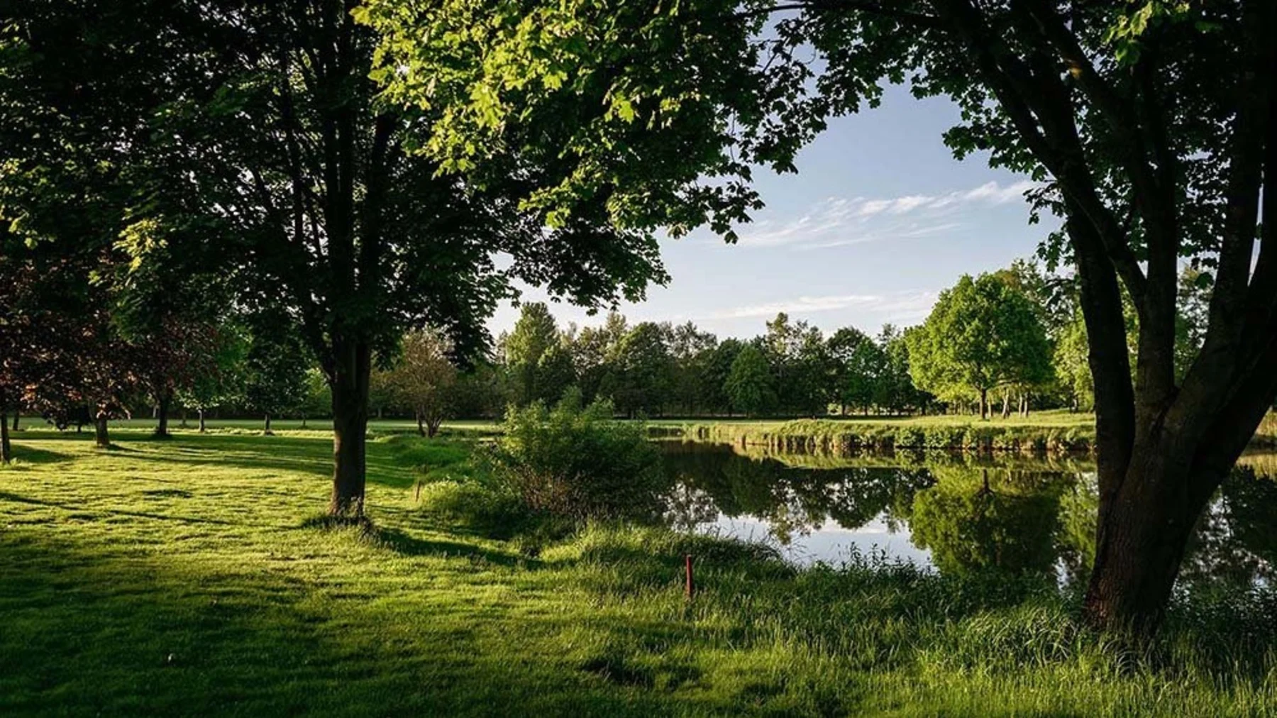 Großer Garten mit Bäumen und einem kleinen See, im Sonnenlicht aufgenommen.