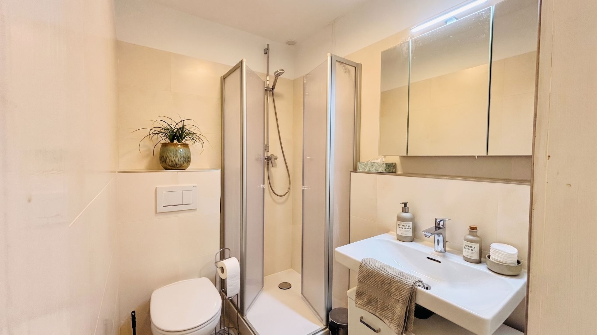 Kleines Badezimmer mit Dusche, Waschbecken, Spiegel, Toilette und Pflanze auf einem Regal.