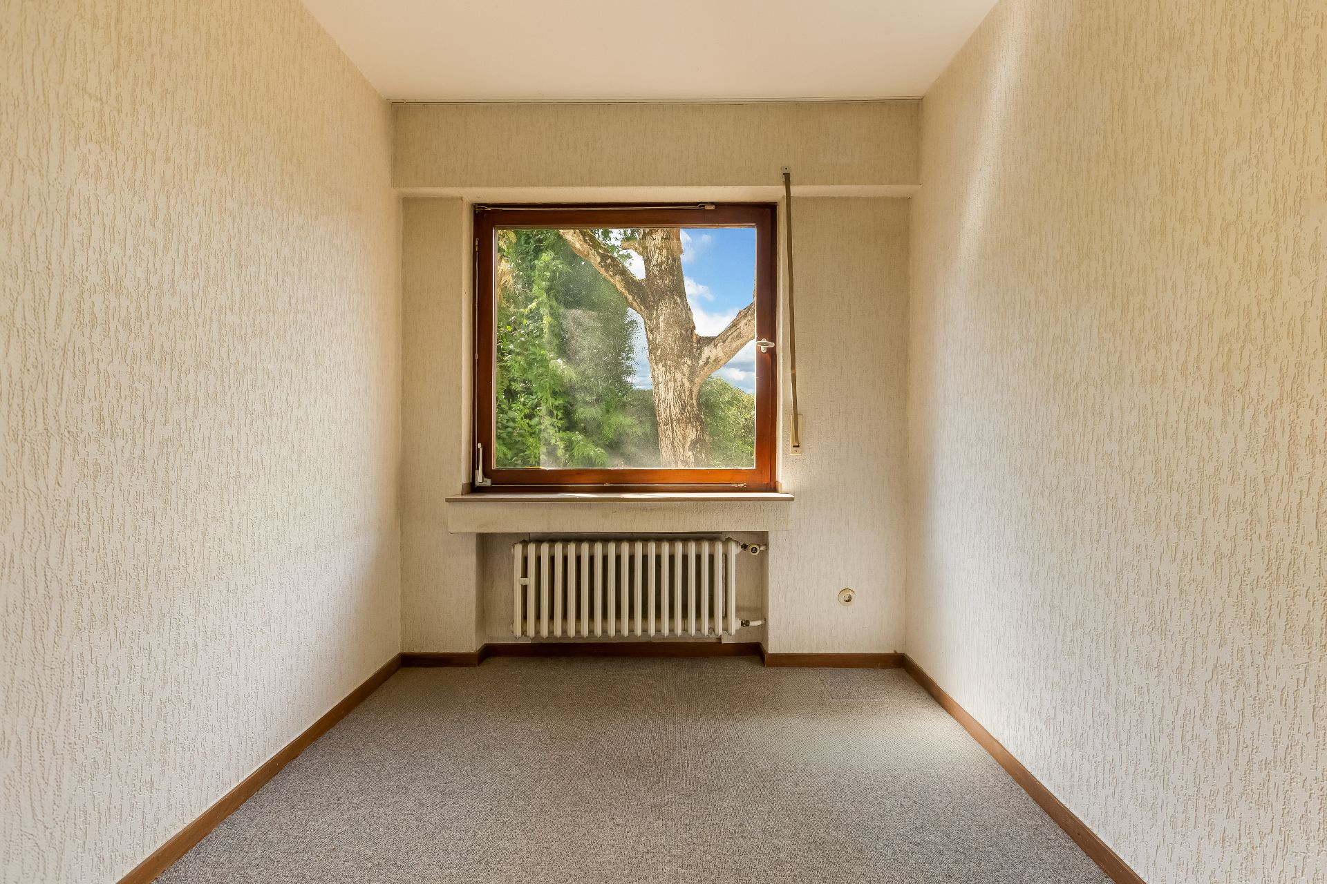 Leerer, schmaler Raum mit Teppichboden und großem Fenster mit Blick auf einen Baum.