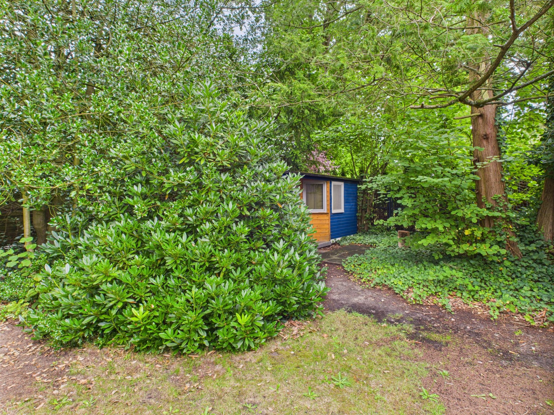 Kleines blaues Gartenhaus umgeben von dichten grünen Büschen und Bäumen.
