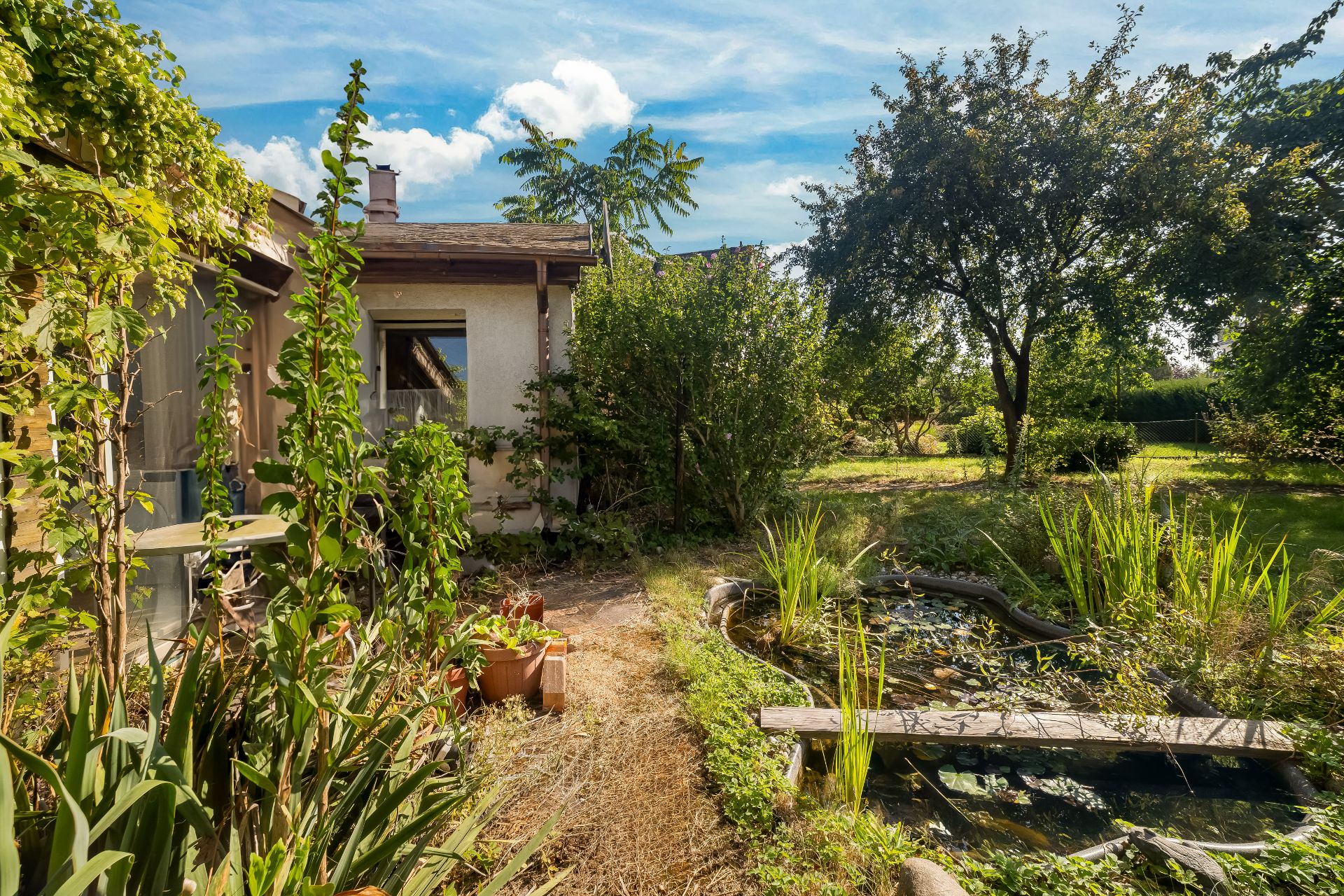 Garten mit Teich, Holzsteg, vielen Pflanzen und Bäumen neben einem Wohnhaus.