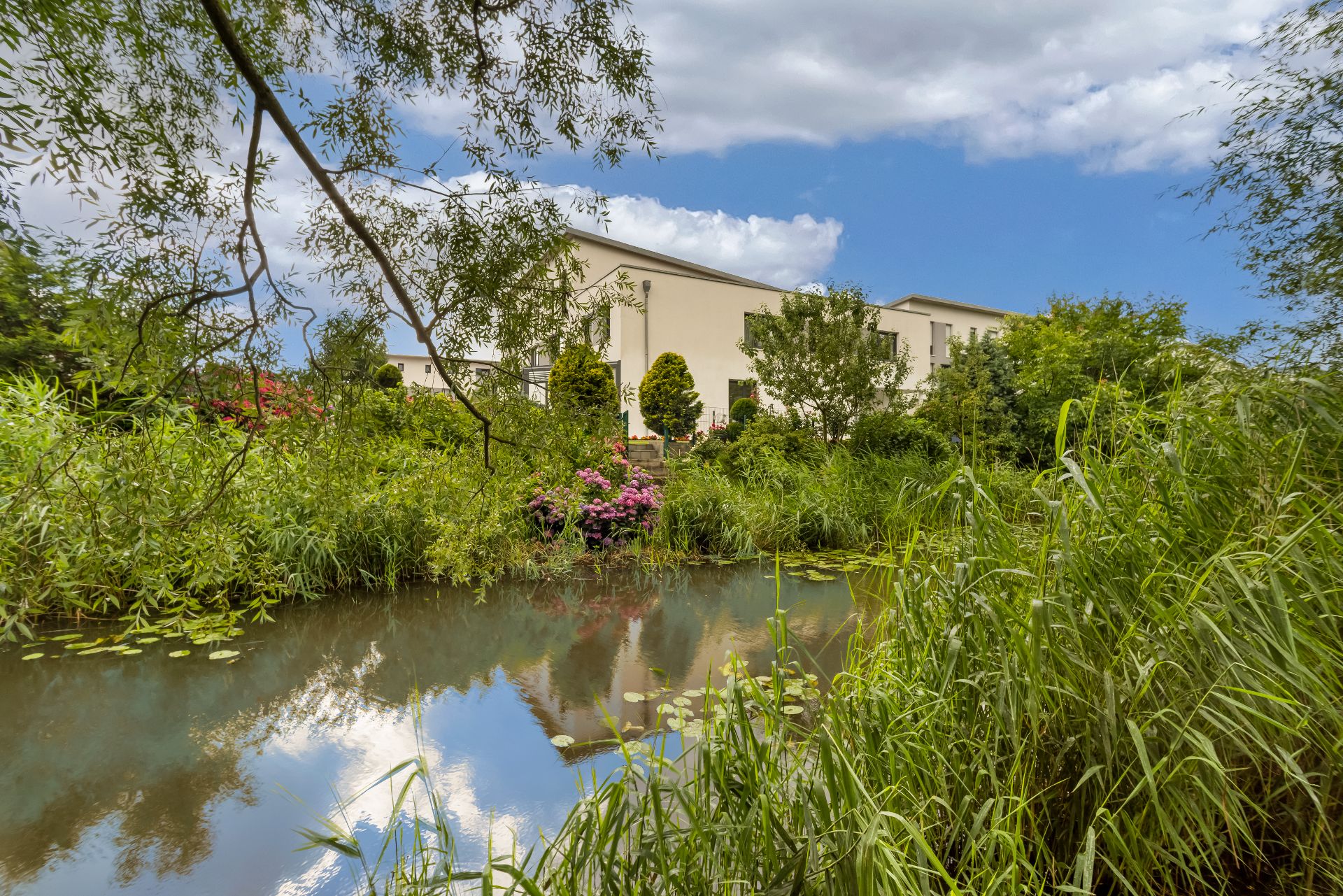 Modernes Wohnhaus hinter Teich mit vielen Pflanzen und bunten Blumen im Vordergrund.