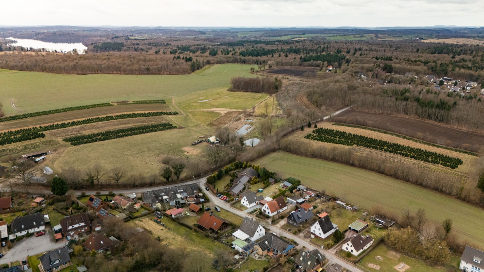 Luftaufnahme von Häusern am Dorfrand, umgeben von Feldern und Wäldern.