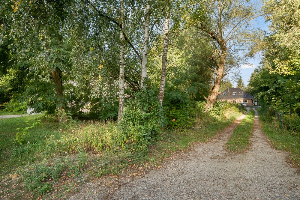 Schotterweg führt durch dichten Baumbestand zu einem Haus im Hintergrund.