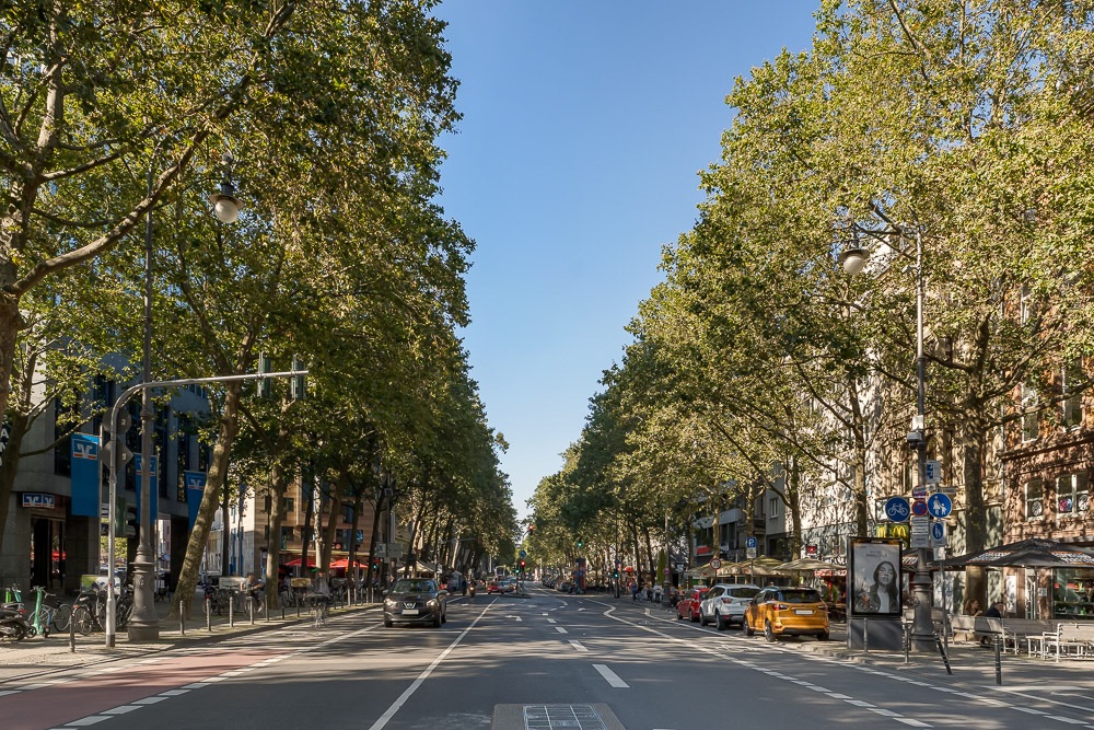 Breite Straße mit Bäumen, Autos und Fahrrädern, flankiert von Wohngebäuden und Cafés.