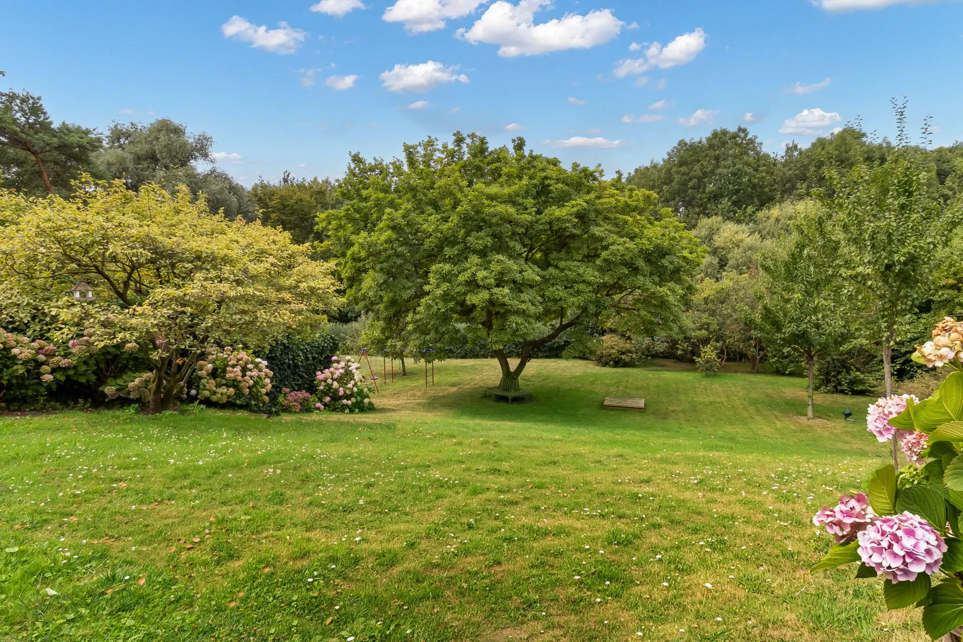 Großer Garten mit Bäumen, Blumen und einer Bank, viel grüne Wiese unter blauem Himmel.