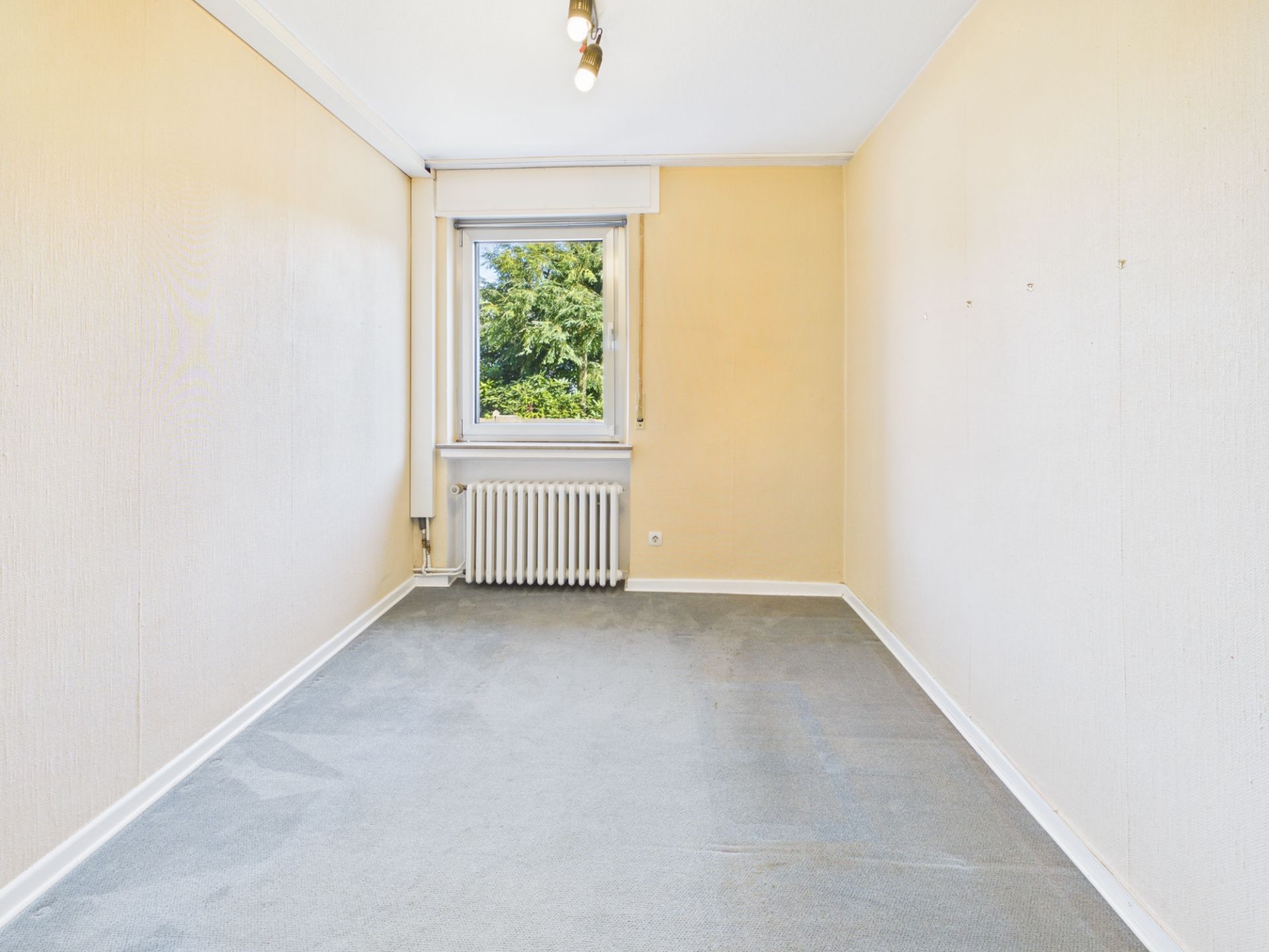 Leerer rechteckiger Raum mit Teppichboden, Fenster und Heizkörper an der Stirnwand.
