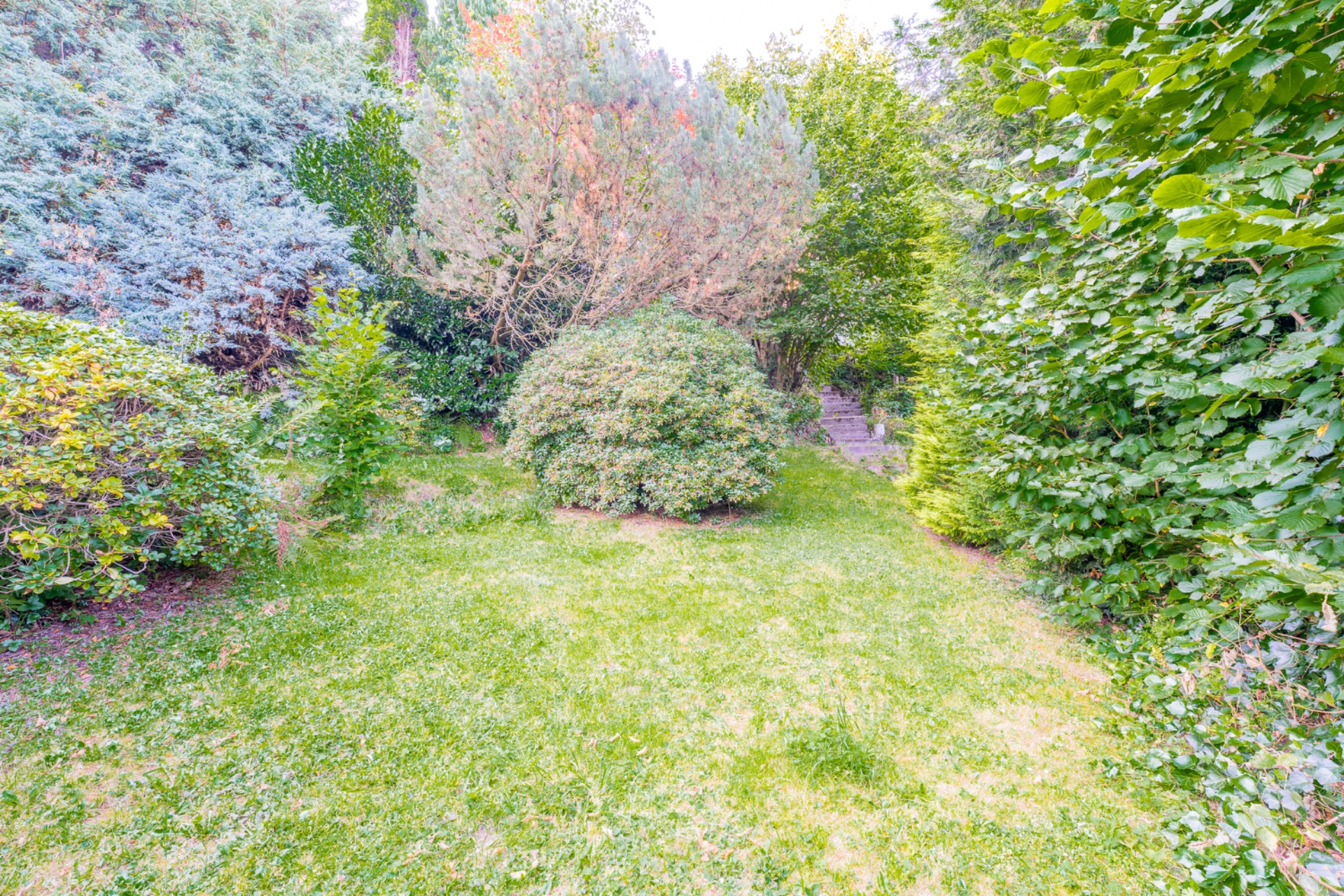 Grüner Garten mit Rasenfläche, Sträuchern und kleinen Bäumen, Treppe im Hintergrund.