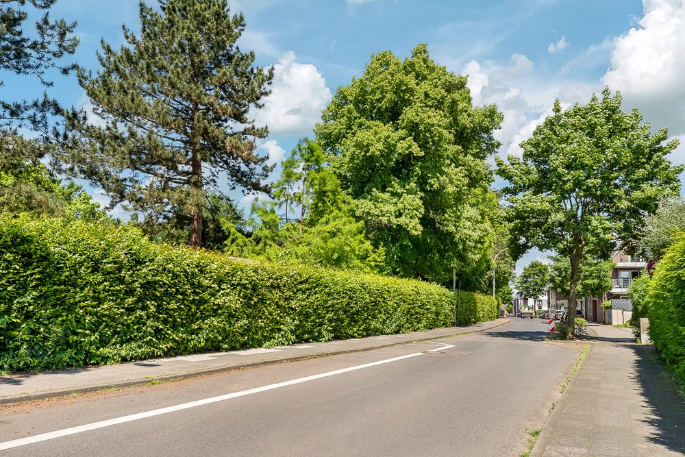Ruhige Wohnstraße mit Gehweg, hohen Bäumen und grünen Hecken bei Sonnenschein.