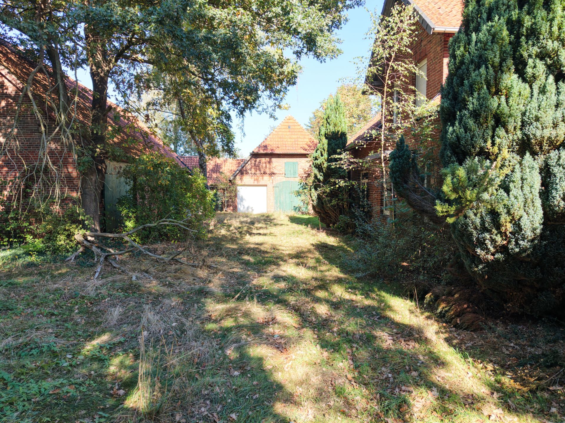 Grüner Garten mit Bäumen zwischen zwei Backsteingebäuden, im Hintergrund ein Haus mit grünem Tor.