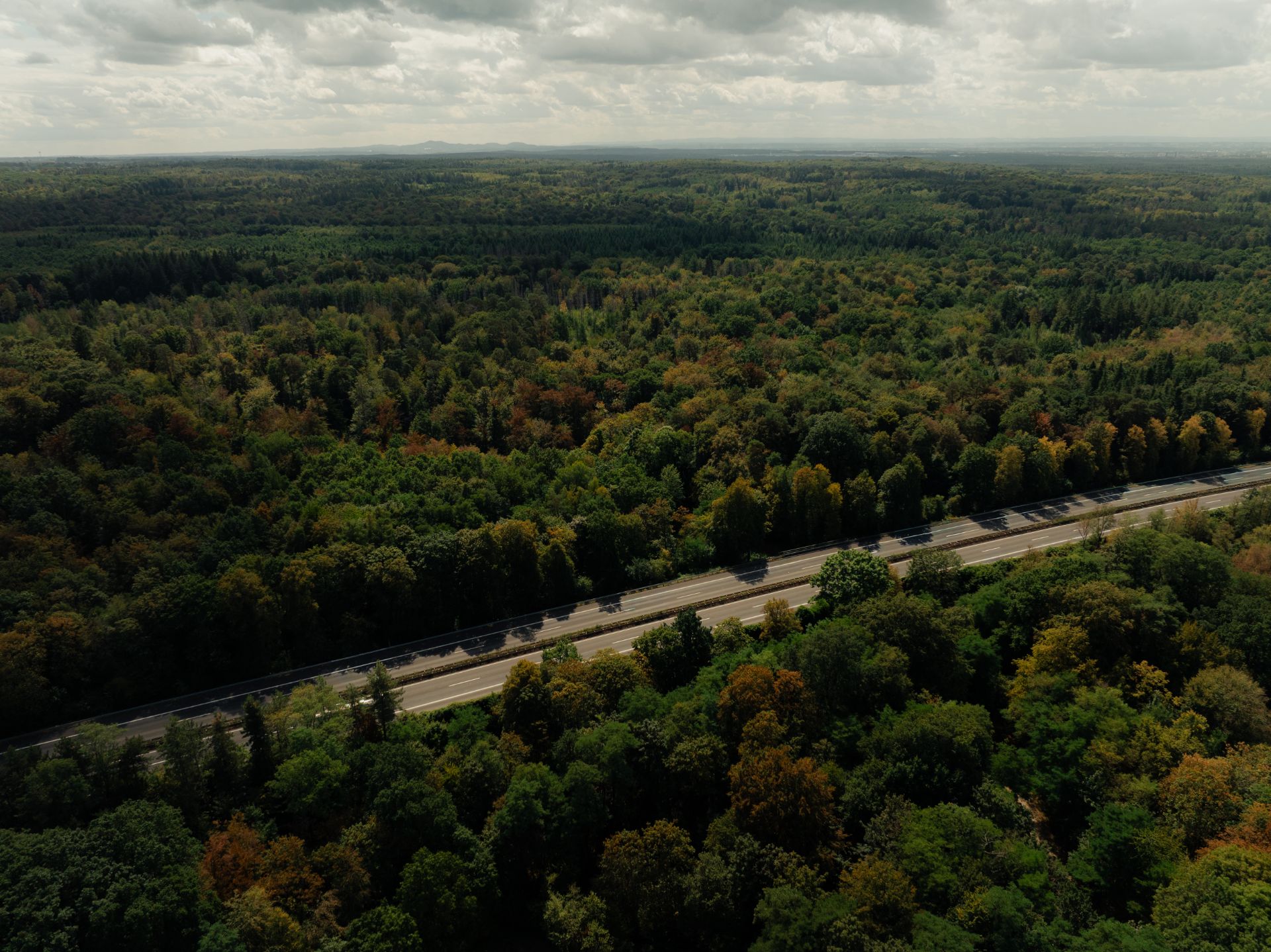 Luftaufnahme einer Straße, die durch einen dichten, grünen Wald verläuft.