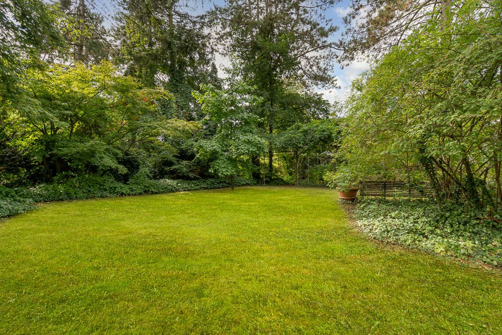 Grüner Garten mit Rasenfläche, Bäumen und dichten Sträuchern im Hintergrund.