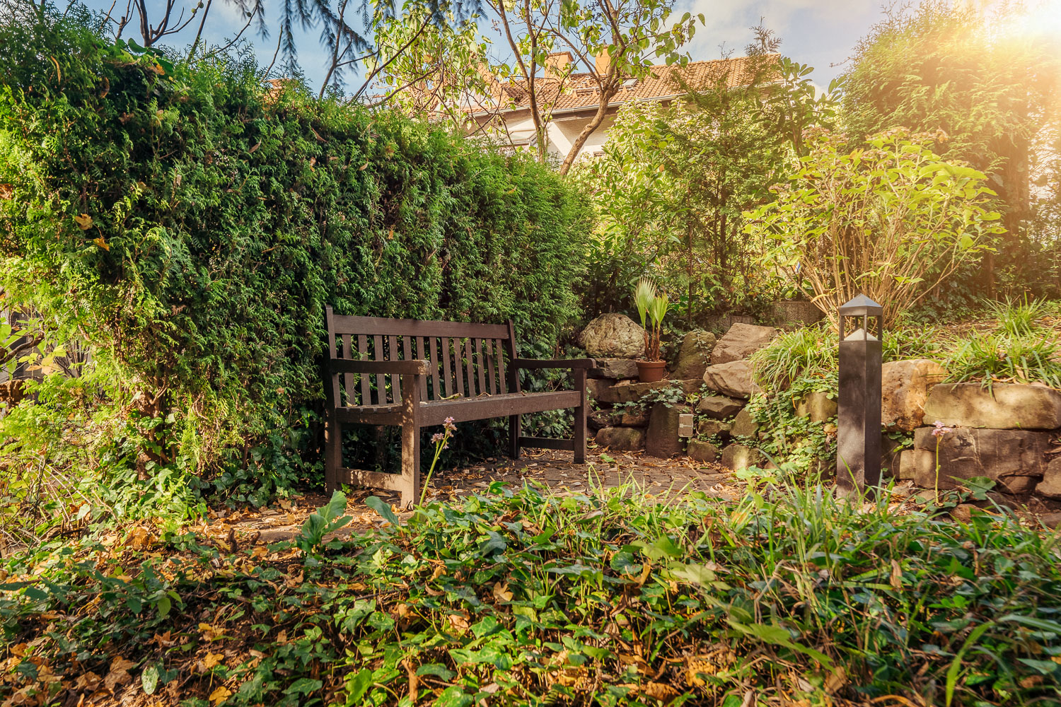 Holzbank steht in grünem Garten mit Sträuchern, Steinen und kleinem Weg.