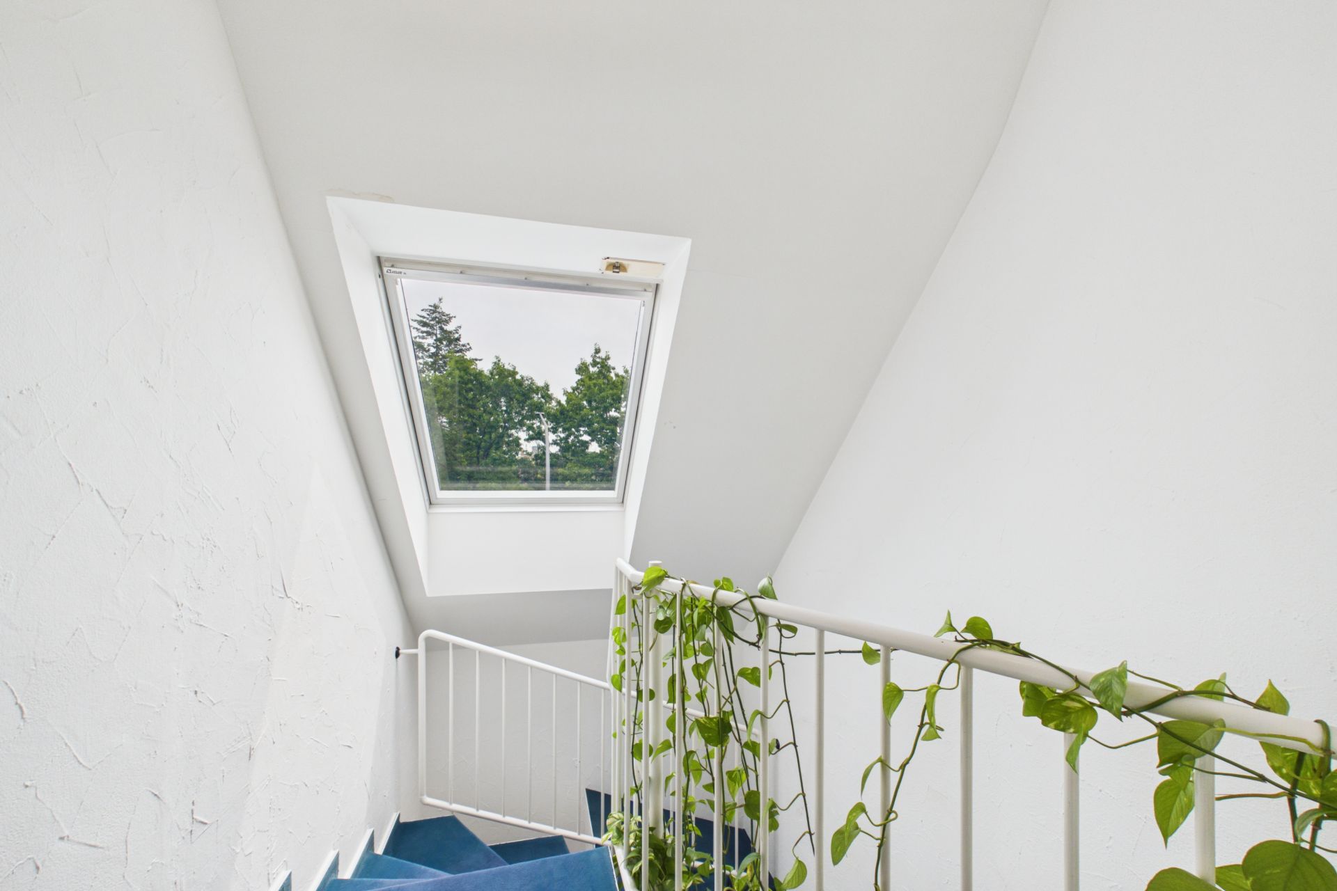 Treppe mit blauem Teppich, Fenster und grünen Pflanzen am weißen Geländer.