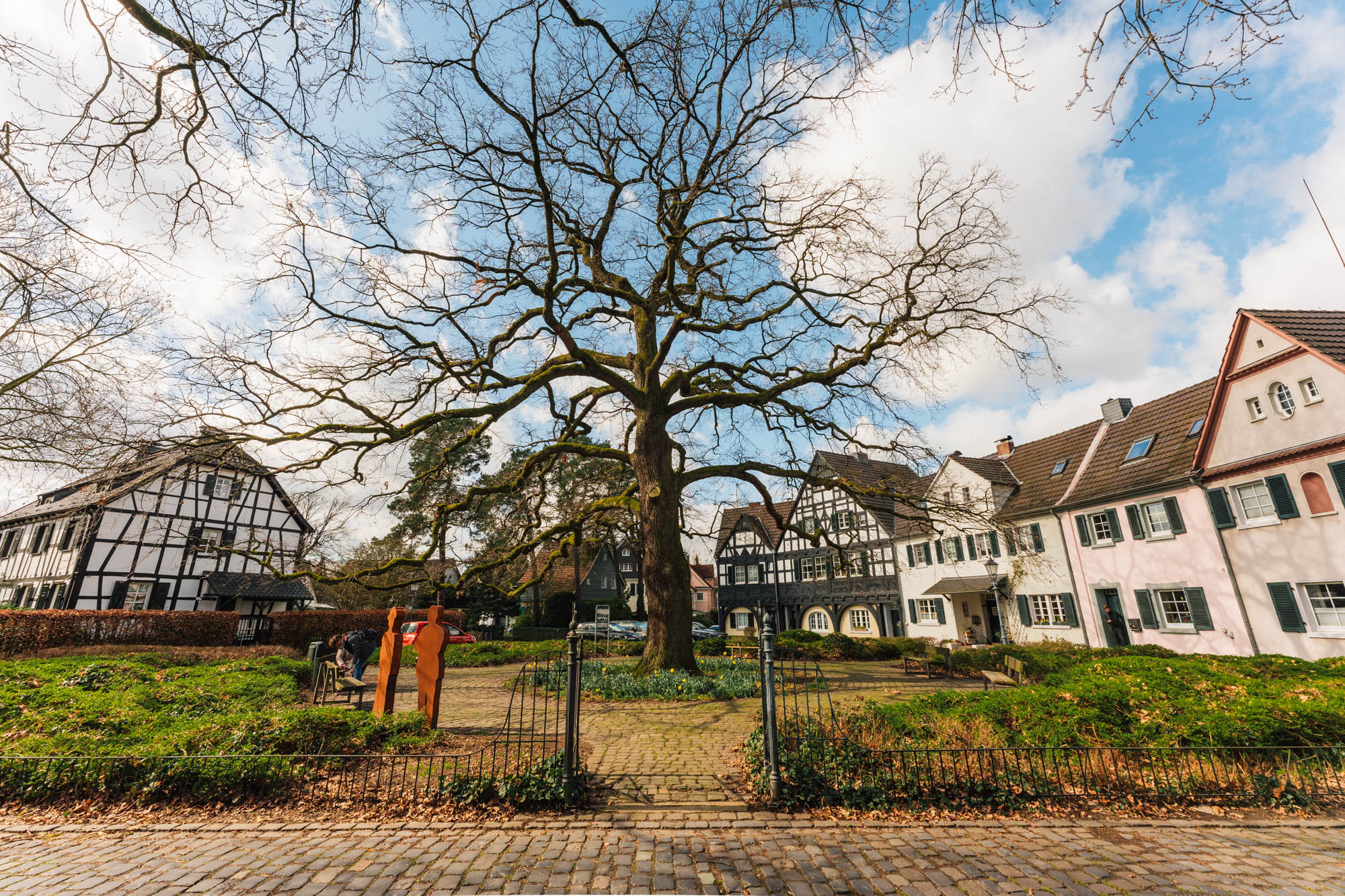 Großer, kahler Baum in einem Vorgarten vor mehreren Fachwerkhäusern und Wohngebäuden.
