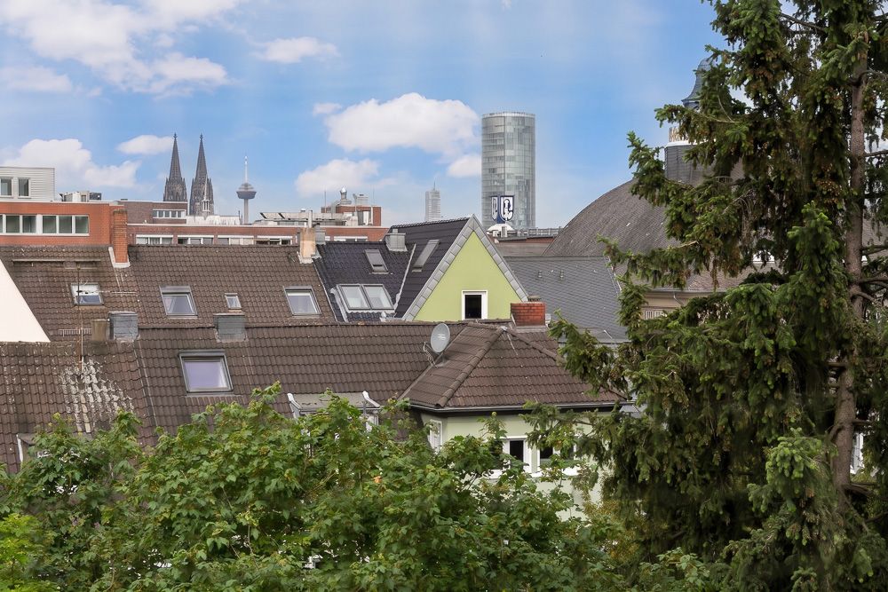 Blick über mehrere Hausdächer mit Bäumen im Vordergrund und Stadtsilhouette im Hintergrund.