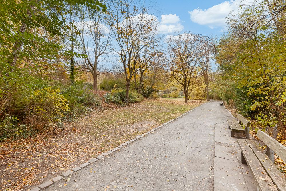 Ein Gehweg mit Bänken im Park, von Bäumen und Herbstlaub umgeben.