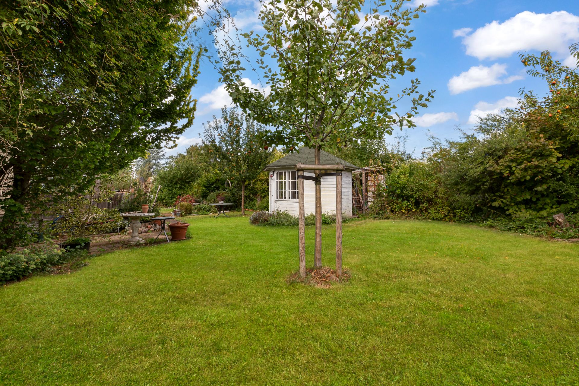 Grüner Garten mit Rasen, kleinem Baum und einem Pavillon im Hintergrund.