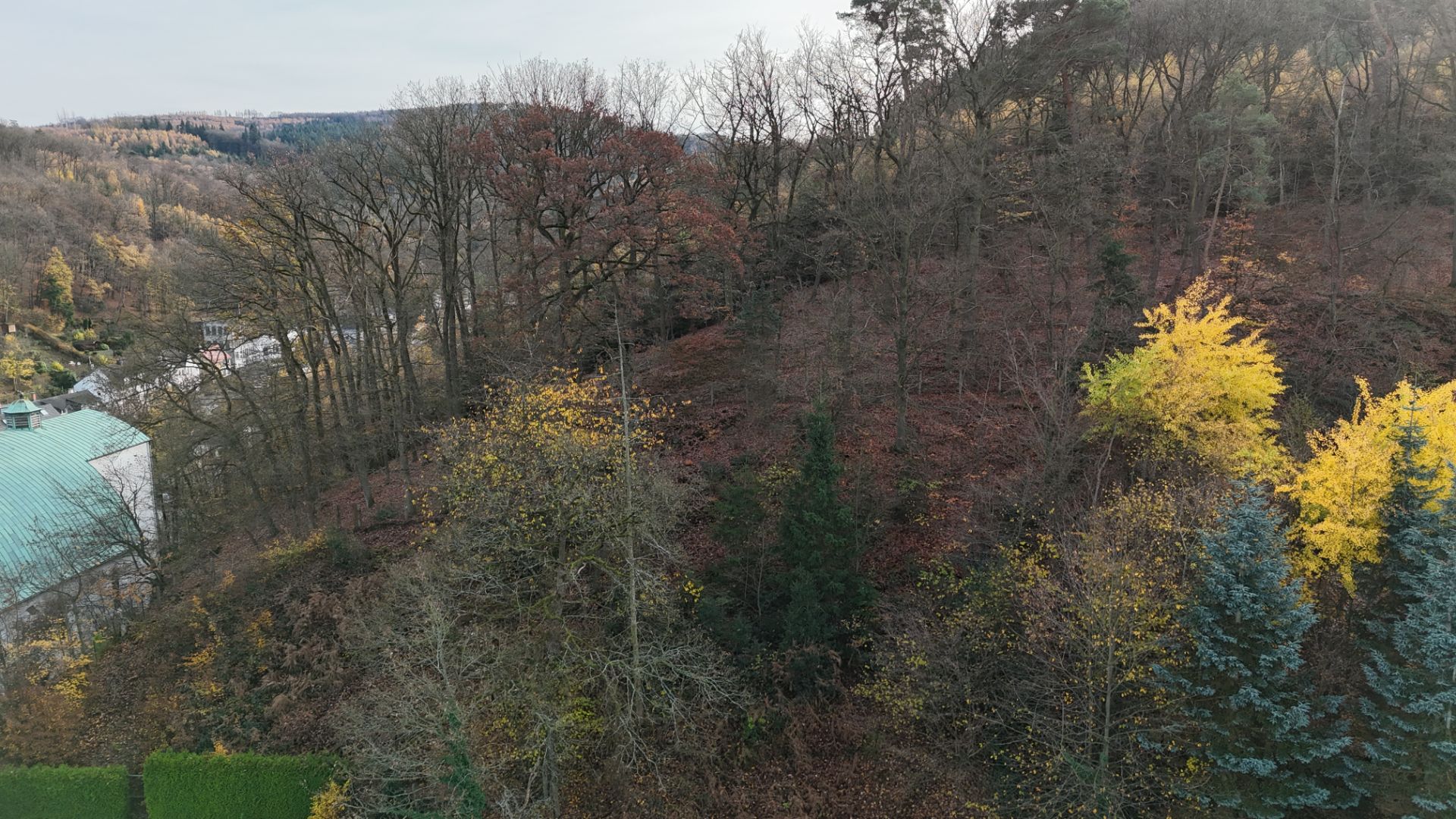 Blick auf einen bewaldeten Hang mit buntem Herbstlaub neben einem Wohnhaus.