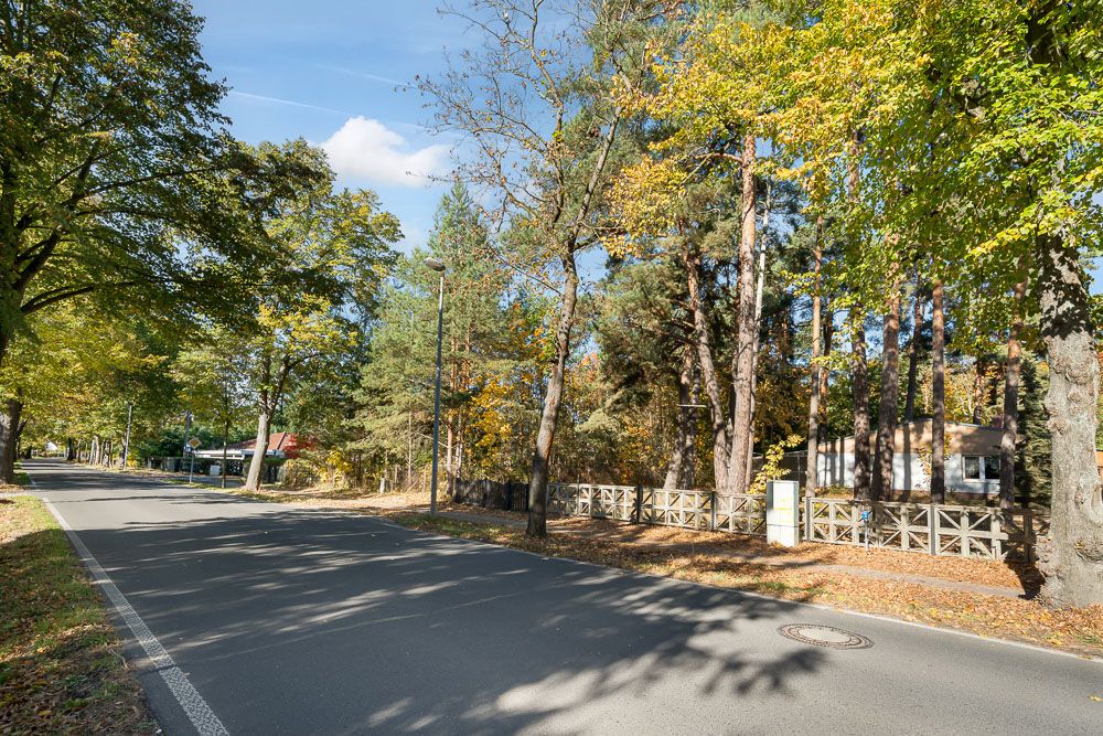 Baumgesäumte Straße mit Holzzaun und Wohnhäusern im Hintergrund bei Tageslicht.