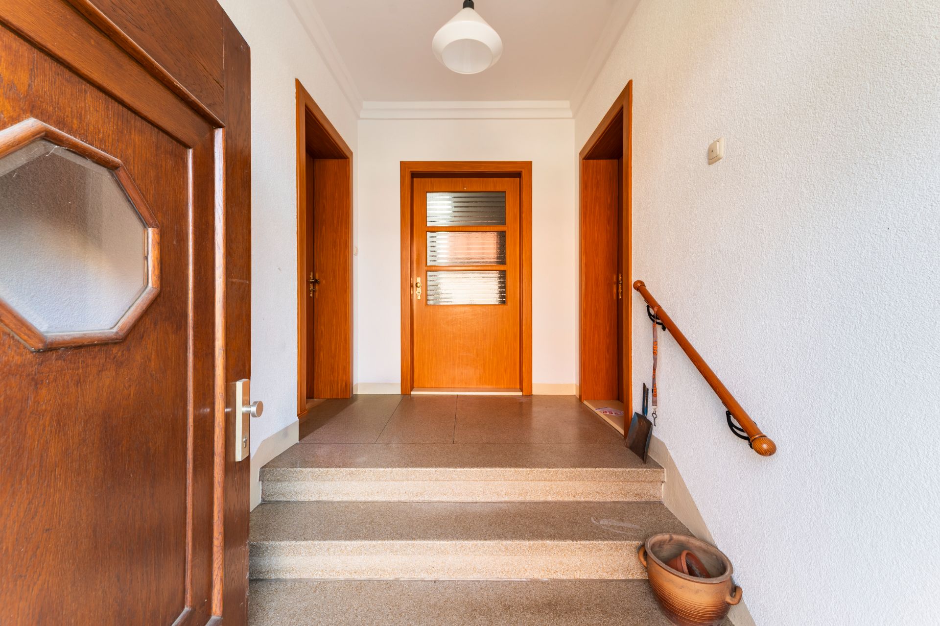 Eingangsbereich mit drei Holztüren, Treppe, Handlauf und Blumentopf.