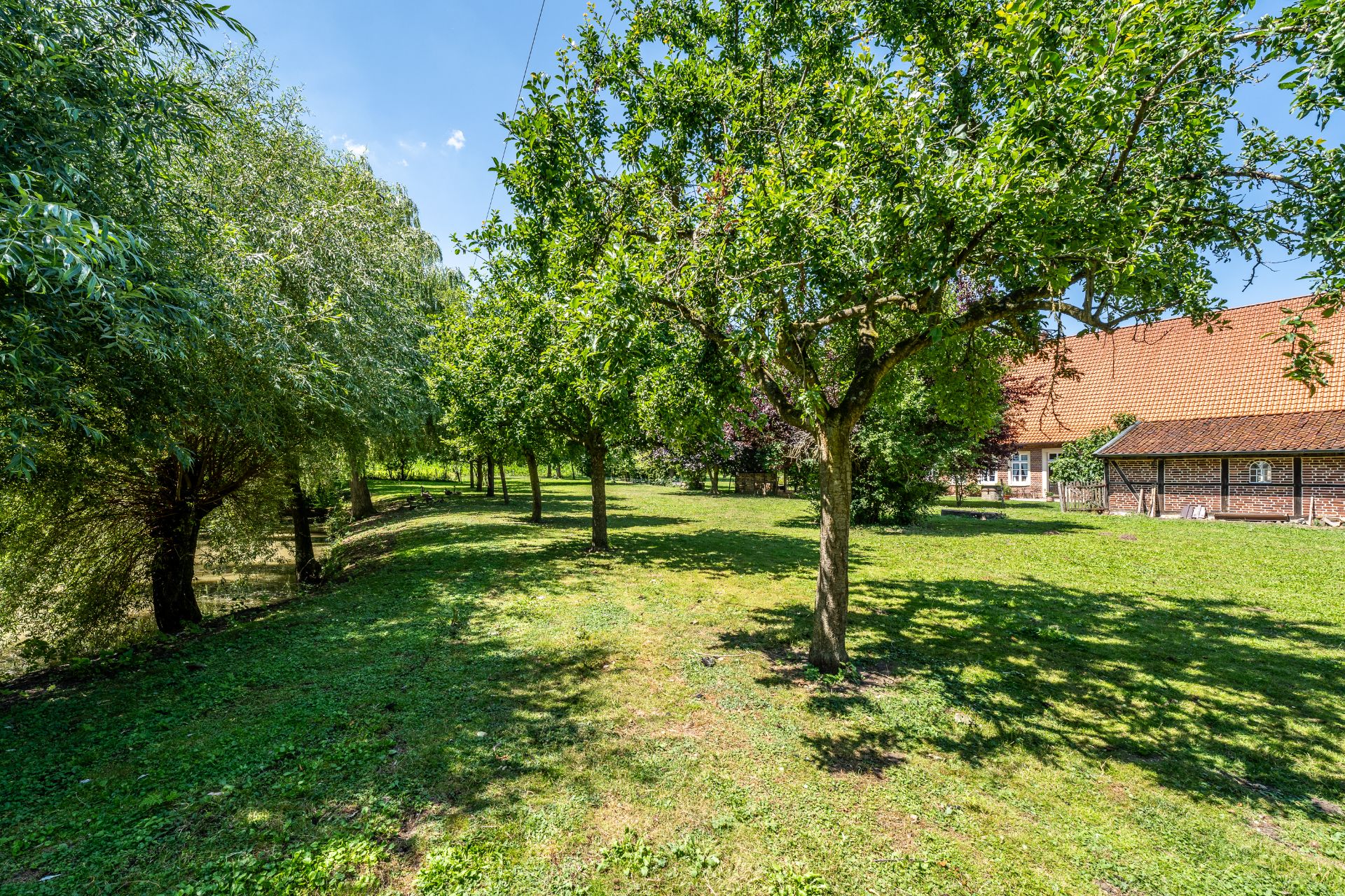 Grüner Garten mit Bäumen und altem Haus mit rotem Dach im Hintergrund.