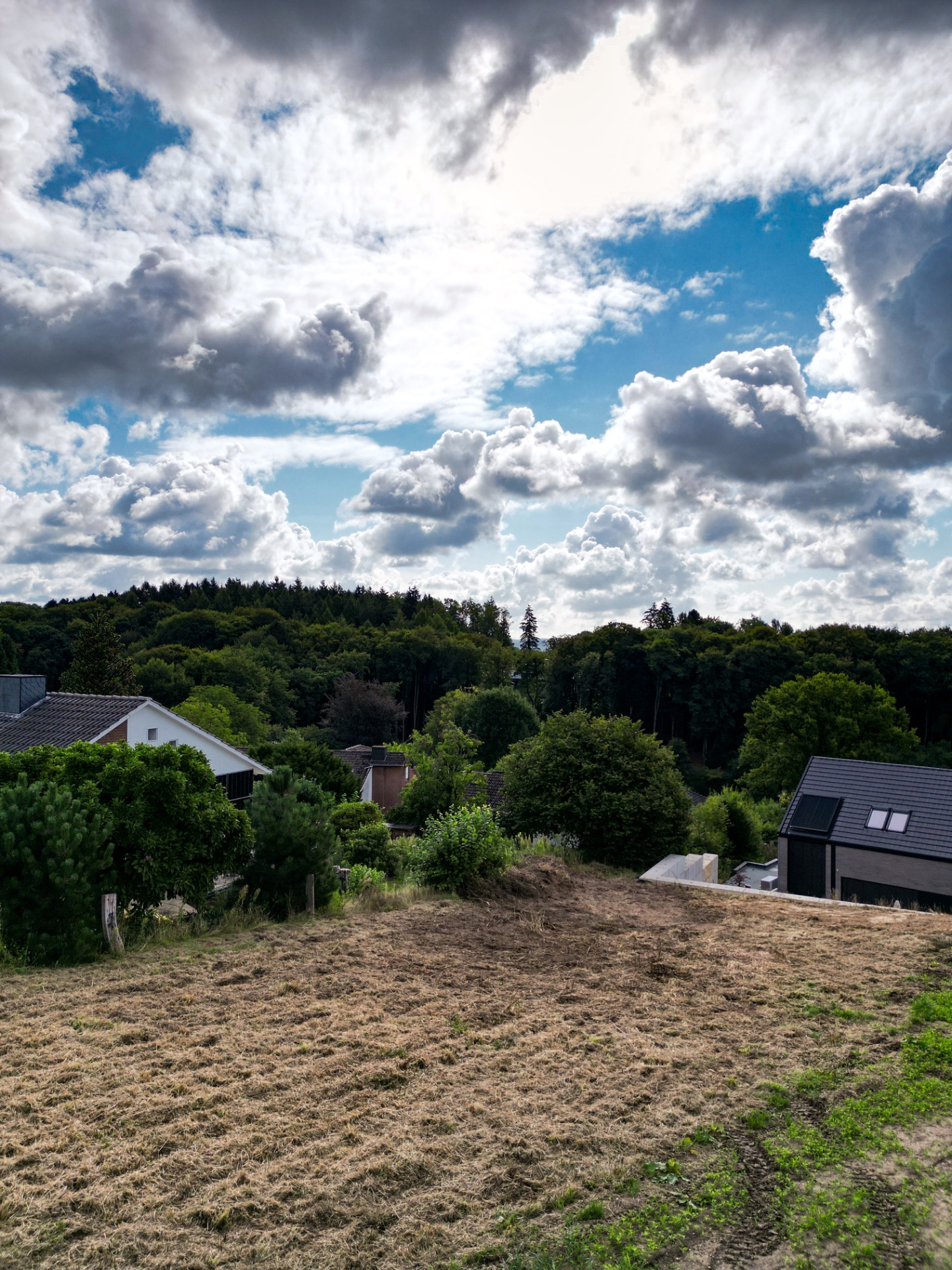 Blick auf einen Garten mit Wiese, umgeben von Bäumen und Wohnhäusern unter wolkigem Himmel.