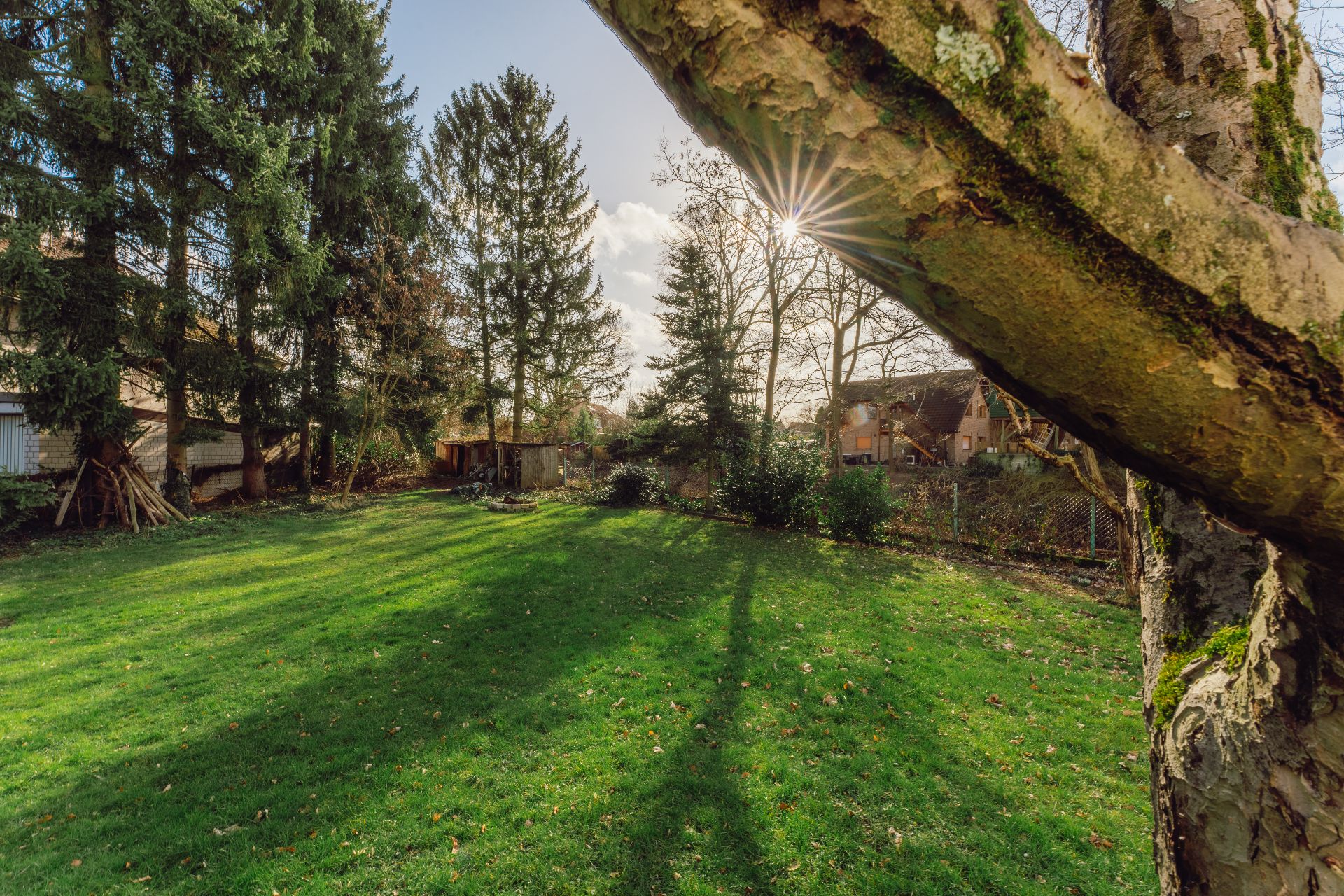 Grüner Garten mit Rasen, Bäumen und einem Schuppen im Hintergrund an einem sonnigen Tag.