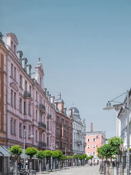 Straße mit mehrstöckigen Altbauten und kleinen Bäumen am Gehweg.