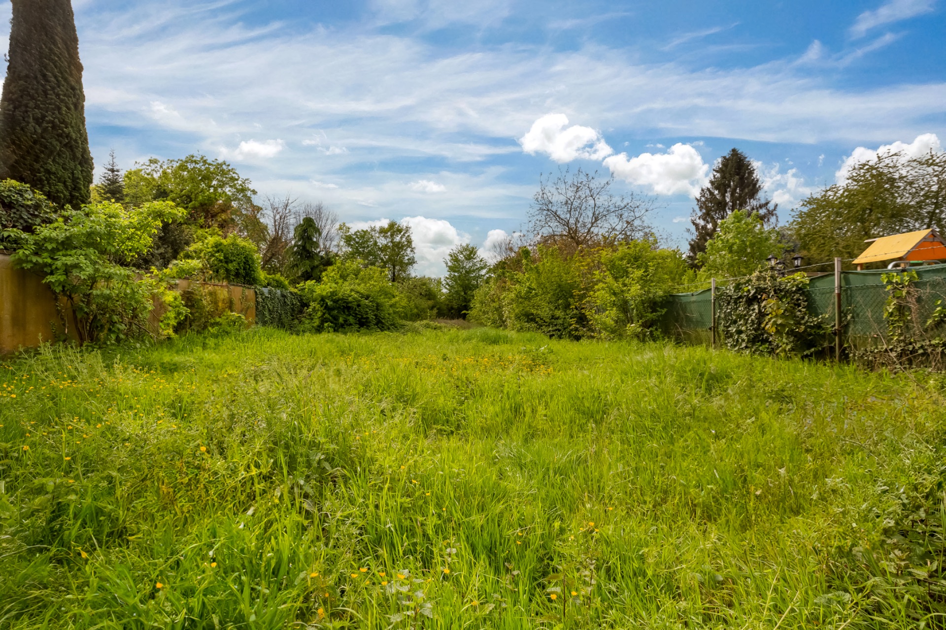 Großer, verwilderter Garten mit hohem Gras und Büschen, umgeben von Bäumen und Zäunen.