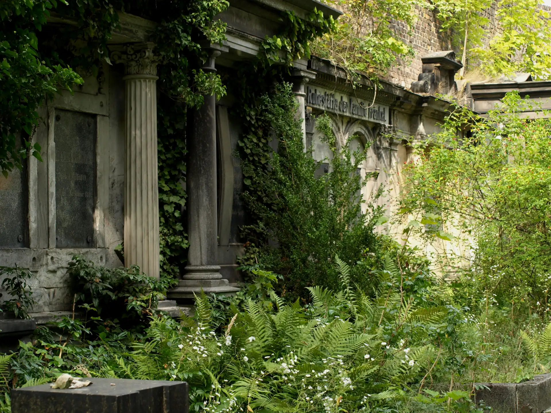 Alte, von Pflanzen überwucherte Grabsteine und Säulen an einer Friedhofsmauer.