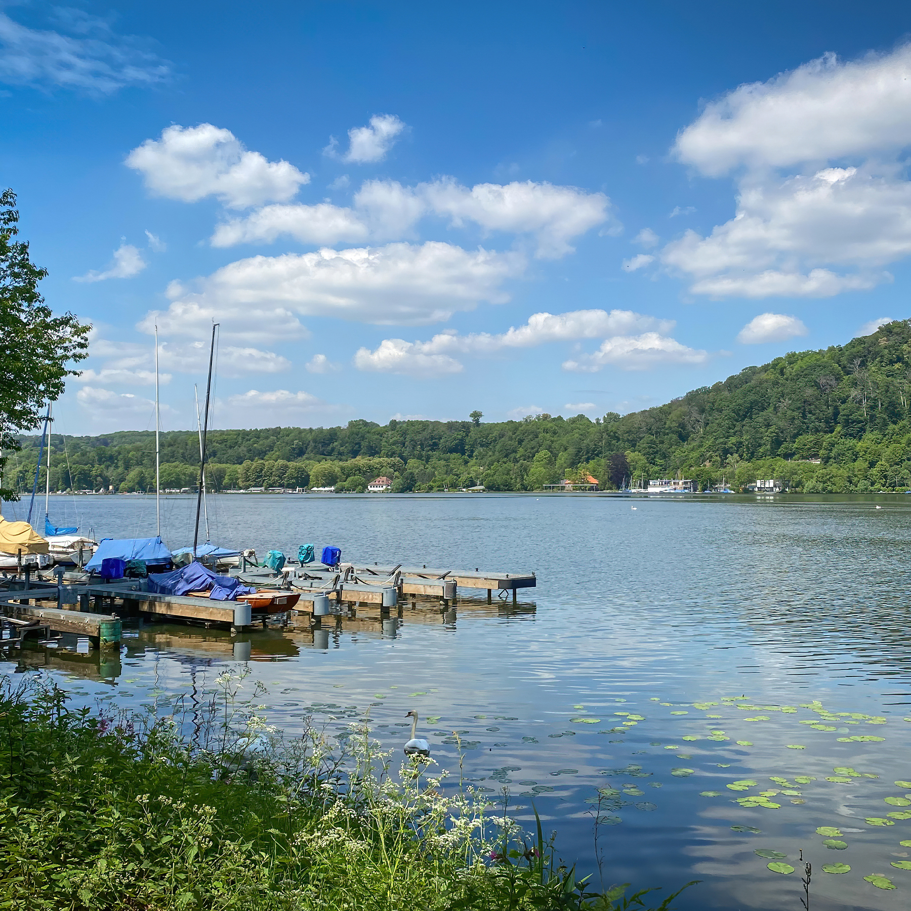 Steg mit kleinen Booten an einem ruhigen See, umgeben von Wald und Wiesen.