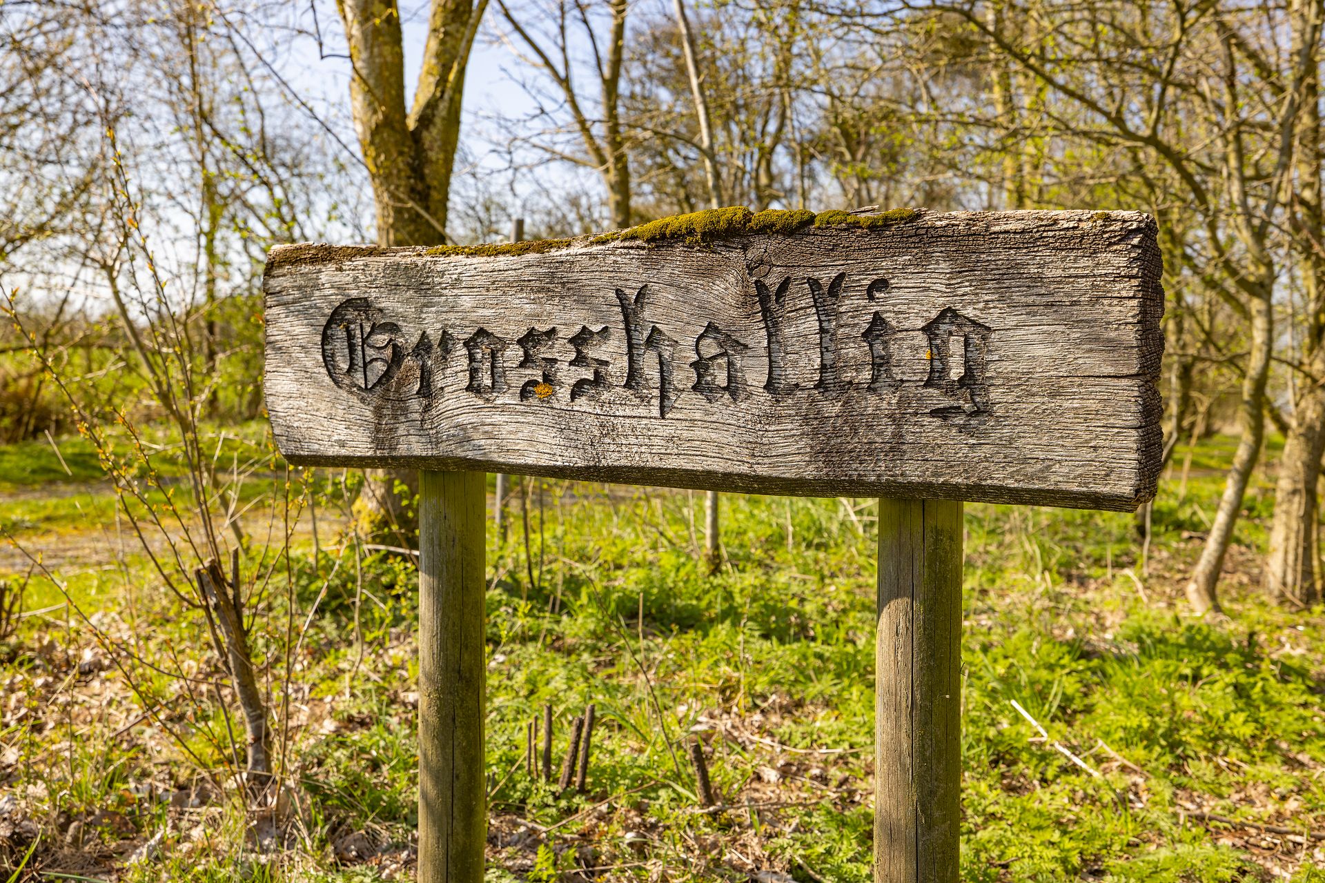 Altes Holzschild mit Inschrift 'Groszhallig' in grünem, bewaldetem Garten.