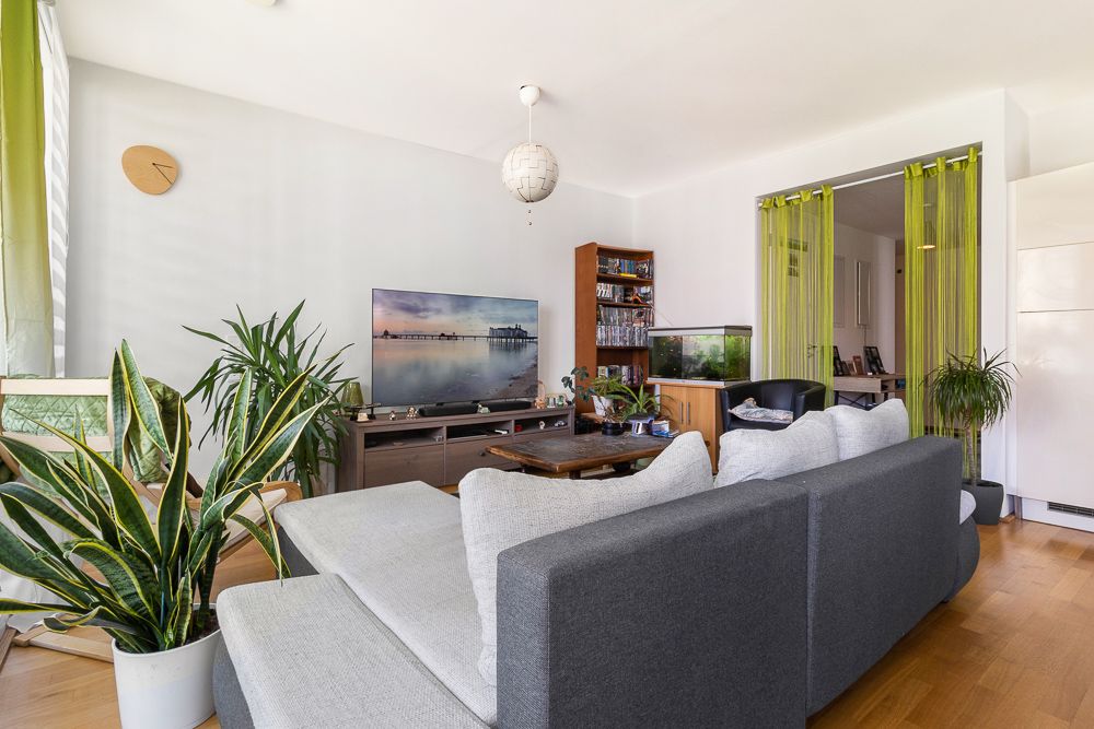 Helles Wohnzimmer mit grauem Sofa, Fernseher, vielen Pflanzen und einem Aquarium.