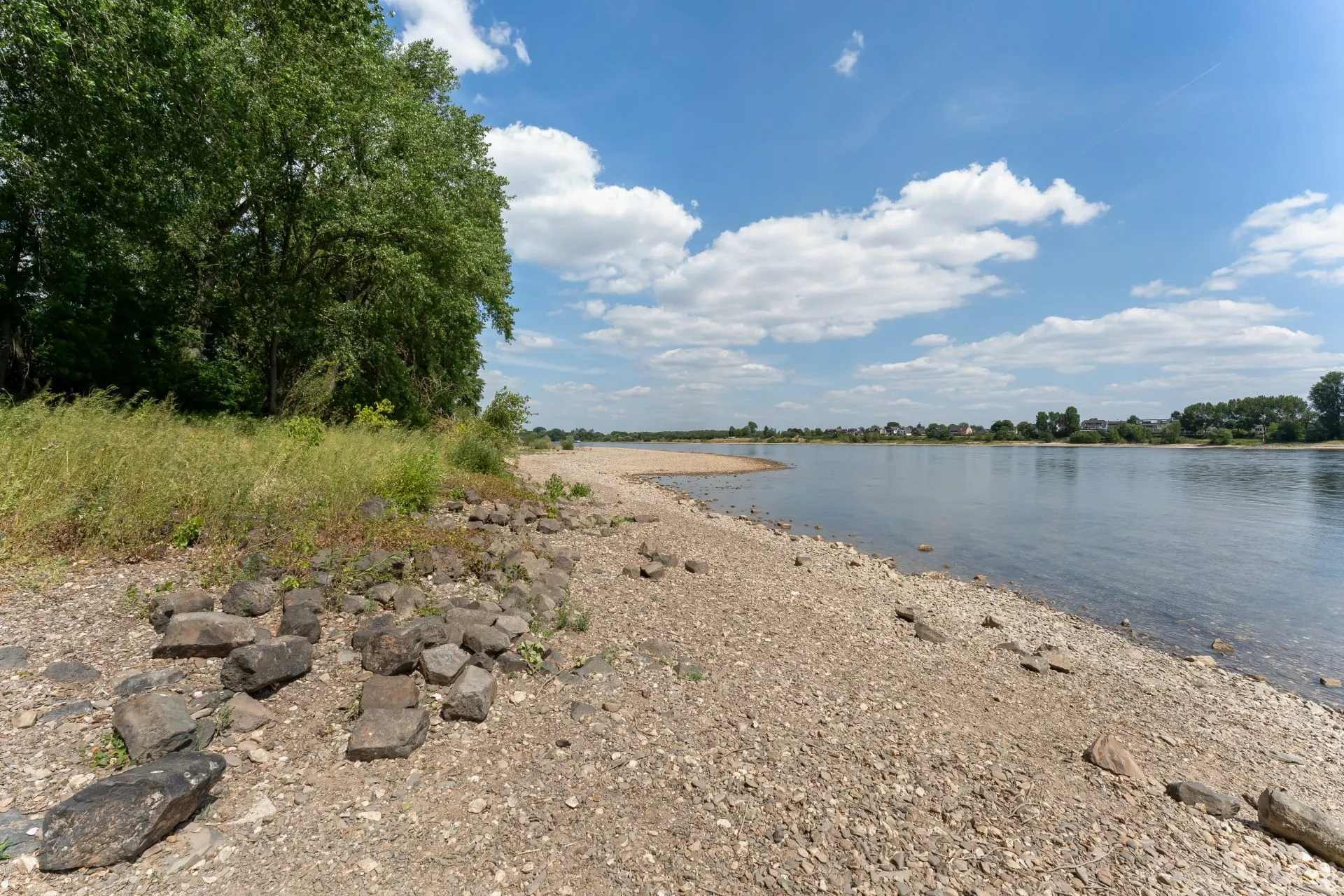 Steiniger Flussuferbereich mit Bäumen und klarem Himmel.