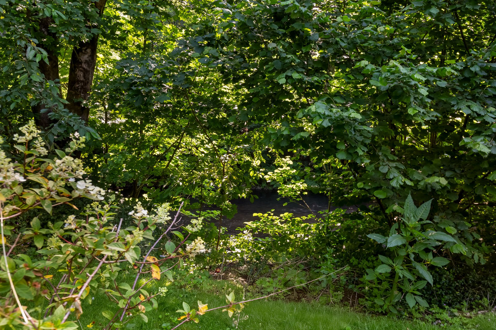 Garten mit grünem Rasen, blühenden Büschen und vielen Bäumen im Hintergrund.