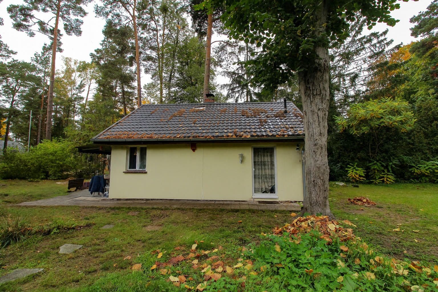 Kleines Haus mit grauem Dach und Garten, umgeben von Bäumen.