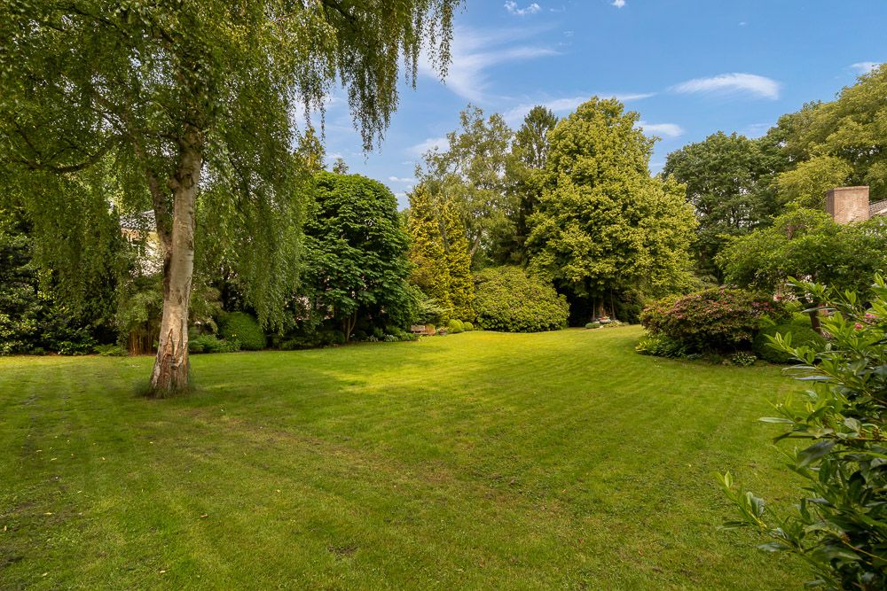 Großer, gepflegter Garten mit Rasenfläche und mehreren Bäumen unter blauem Himmel.