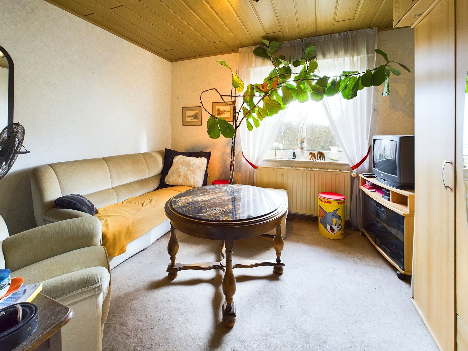Wohnzimmer mit Sofa, rundem Tisch, Fernseher und großer Pflanze am Fenster.