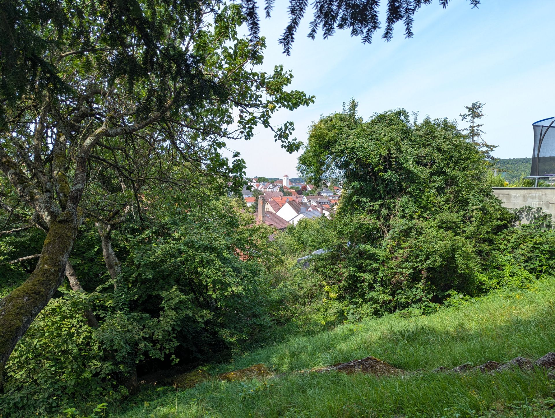 Grünes Gartengrundstück mit Bäumen und Blick auf Häuser im Hintergrund.